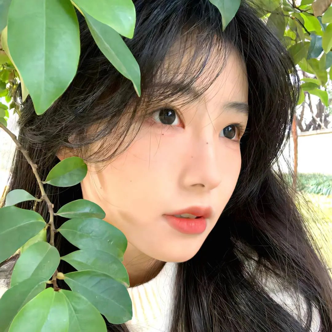 青春华丽丽