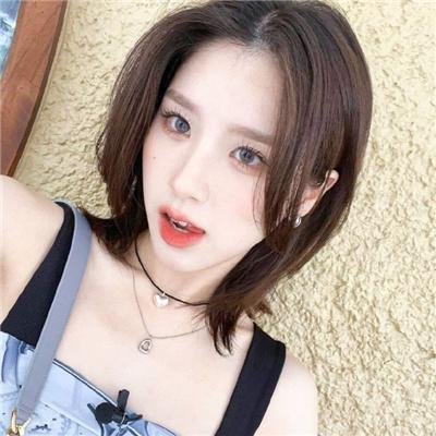 生而为狗我很幸福
